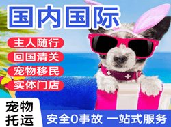 温州机场托运国际宠物托运 【国
